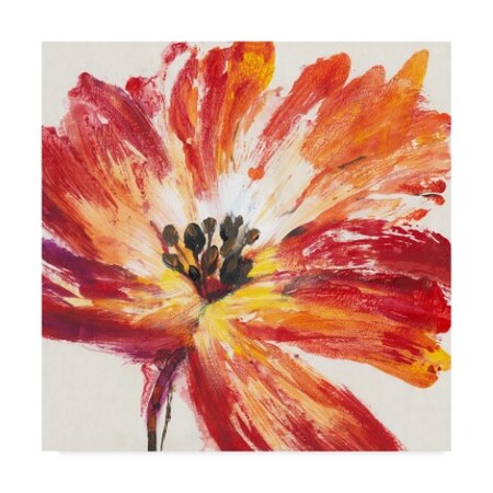 Tim Otoole 'Fleur Rouge I' Canvas Art,18x18